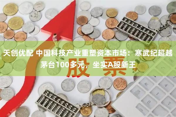 天创优配 中国科技产业重塑资本市场：寒武纪超越茅台100多元，坐实A股新王