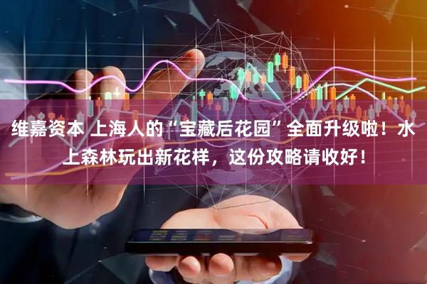 维嘉资本 上海人的“宝藏后花园”全面升级啦！水上森林玩出新花样，这份攻略请收好！