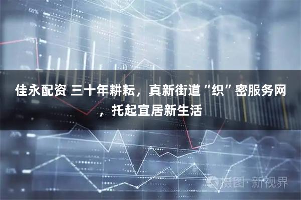 佳永配资 三十年耕耘，真新街道“织”密服务网，托起宜居新生活