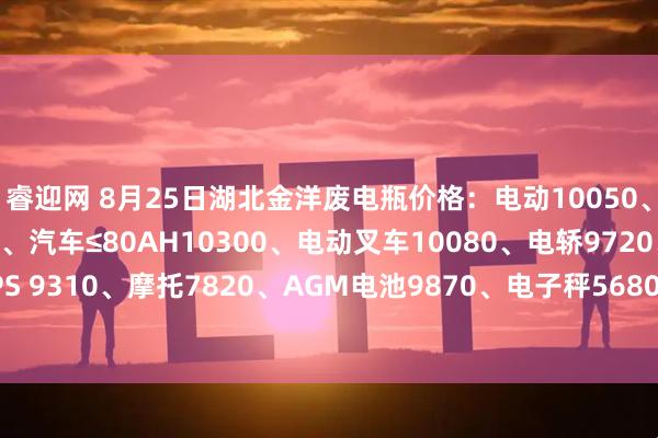 睿迎网 8月25日湖北金洋废电瓶价格：电动10050、汽车＞80AH10050、汽车≤80AH10300、电动叉车10080、电轿9720、牵引10080、UPS 9310、摩托7820、AGM电池9870、电子秤5680、EFB10300。（单位：元/吨）（含3%增值税）