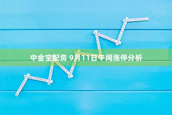 中金宝配资 9月11日午间涨停分析